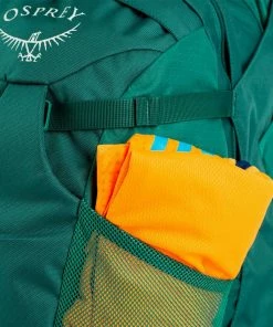 Osprey Fairview 55 Tagesrucksack Rainforest Green Damen -Deuter Shop unnamed file 1667
